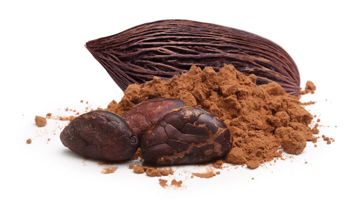 le proprieta nutrizionali del cacao